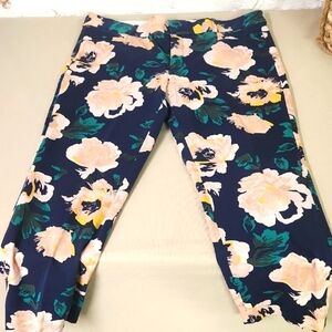 Floral Print Pants Slone Fit Banana Republic 12P